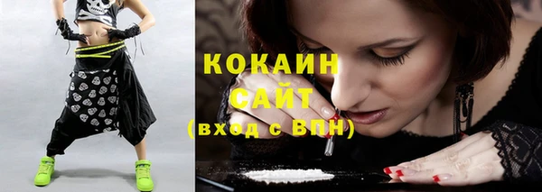 соль ск Алзамай