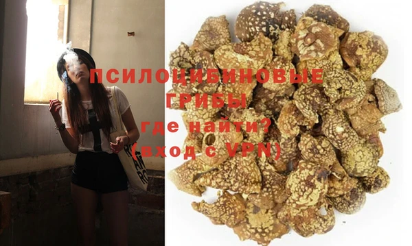 соль ск Алзамай