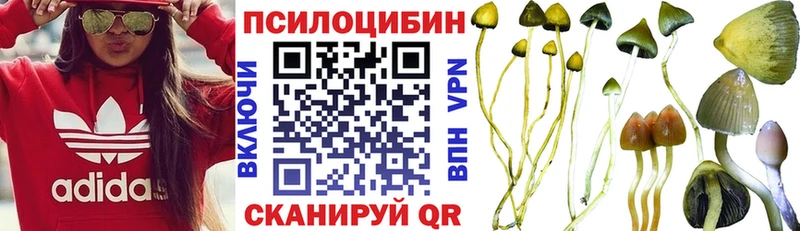 Галлюциногенные грибы мухоморы  Хвалынск 